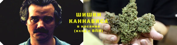 гидра Баксан