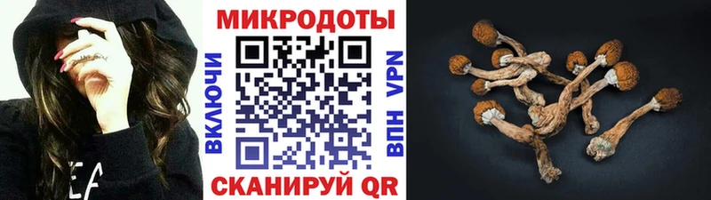 Галлюциногенные грибы Psilocybe  Кувандык 